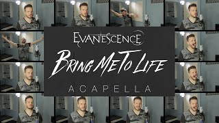 Bring Me To Life ACAPELLA  Evanescence [upl. by Cecily]