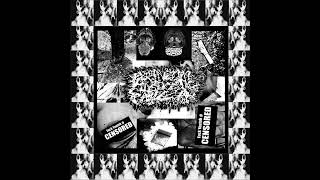 Perineum Caustic Papilla  st Full Album [upl. by Ocihc]