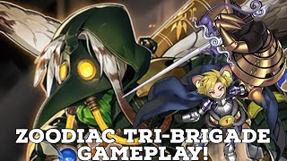 Zoodiac TriBrigade Gameplay August 2021  High Ceiling and High Reward for Getting Better [upl. by Faust403]