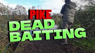 Pike deadbaiting HDAA Brandesburton no2 pond nov 2023 [upl. by Merralee]