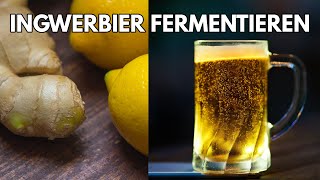 Ingwer Bier selber brauen  fermentierte Ingwer Limonade mit Kurkuma und Zitronen [upl. by Enelyw494]