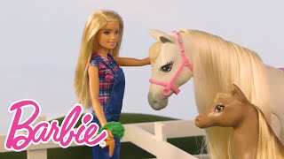 Diversão com Barbie na Fazenda  Barbie Português [upl. by Manard316]