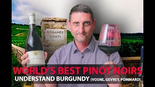 Finest Burgundy Wines  Your Guide to Top Pinot Noirs  VosneRomanée Pommard GevreyChambertin [upl. by Enahsal]