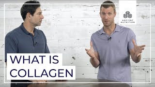 Collagen Basics with Dr Josh Axe and Jordan Rubin  Ancient Nutrition [upl. by Bolan610]