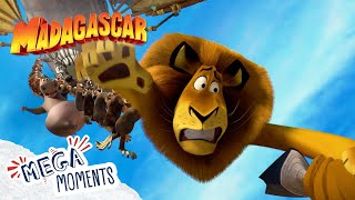 The Hunt for Alex 🦁  Madagascar 3  Compilation  Mega Moments [upl. by Aiciled]