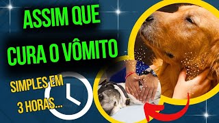 Causas do Vomito ou Regurgitação nos Cães Alimentação Inadequada ou Outras doenças [upl. by Gnaoh]