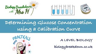 Determining Glucose Concentration using a Calibration Curve [upl. by Hildegard]