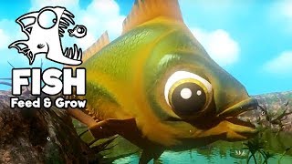 Feed and Grow Fish Gameplay German  Der größte Goldfisch der Welt [upl. by Ellerret637]